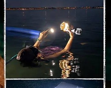 A snorkel guide with a dive light on a night shelling and snorkeling tour near Anna Maria Island, Florida